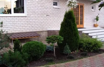 Хвойні в ландшафтному дизайні дачної ділянки - фото, відео (дизайні) Хвойні в ландшафтному дизайні дачної ділянки - фото, відео