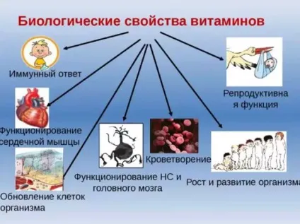 Wellness від Оріфлейм - на сторожі вашого здоров'я - все про oriflame (статті) Wellness від Оріфлейм - на сторожі вашого здоров'я - все про oriflame