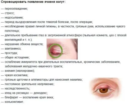 Ячмінь на оці - причини, симптоми і лікування хвороби (фото) (верхнього нижнього століття) Ячмінь на оці - причини, симптоми і лікування хвороби (фото)