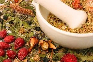 Як лікувати остеохондроз травами (лікувати) Як лікувати остеохондроз травами