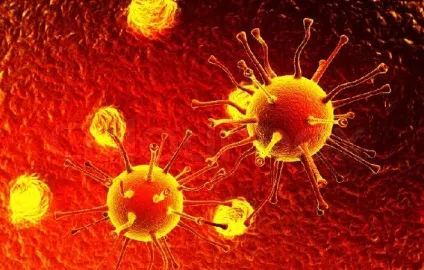 Як лікувати вірус герпесу вивести з організму, позбутися назавжди, препарати, чого боїться (герпесу) Як лікувати вірус герпесу вивести з організму, позбутися назавжди, препарати, чого боїться