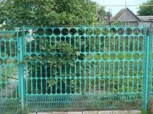 Огорожа з висікання, біля дачі (паркан) Огорожа з висікання, біля дачі