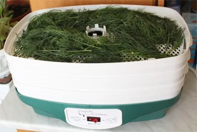 нотатки сушильника