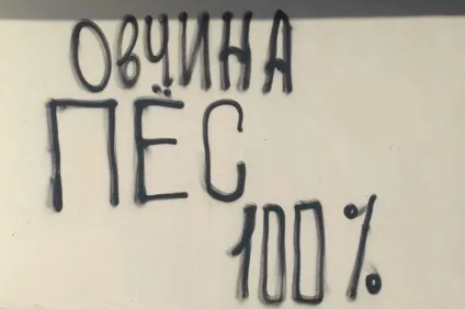 Закон про вболівальників у дії запалив фаєр (фаєр) Закон про вболівальників у дії запалив фаєр