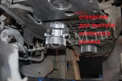 Заміна ременя грм skoda octavia 2006 року 1, 4 літри bca (ременя) Заміна ременя грм skoda octavia 2006 року 1, 4 літри bca