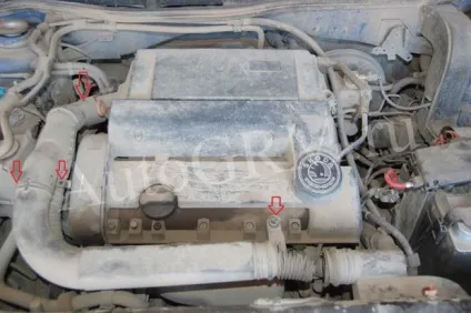 Заміна ременя грм skoda octavia 2006 року 1, 4 літри bca (натяжна ролик ременя) Заміна ременя грм skoda octavia 2006 року 1, 4 літри bca