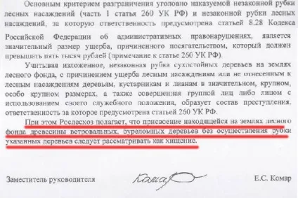 Закон про дозвіл збирати в лісі хмиз насмішив Украінан (українців) Закон про дозвіл збирати в лісі хмиз насмішив Украінан