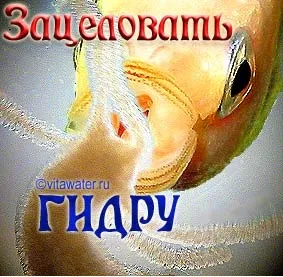 Жива вода