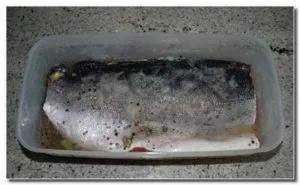 засолка риби