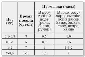 засолка риби