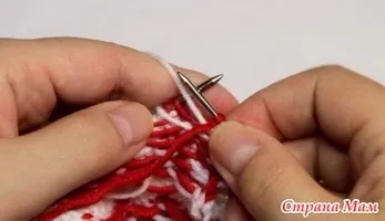 жаккард звичайний