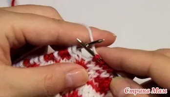 жаккард звичайний