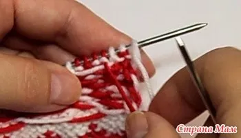 жаккард звичайний