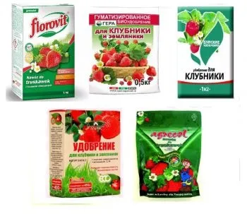 Земля і грунт для полуниці оптимальні параметри (кислотність, вологість)