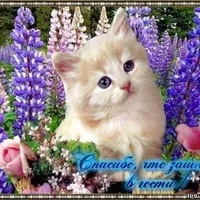 Знаєте, як перевірити, чи зареєстрований людина на сайтах знайомств