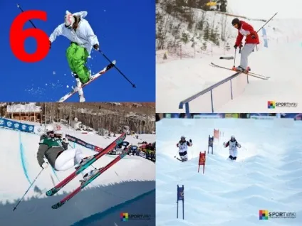 Зимні види спорту