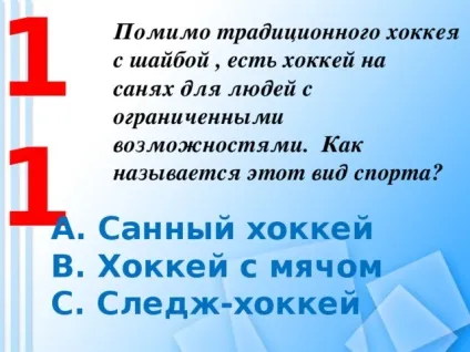 Зимні види спорту