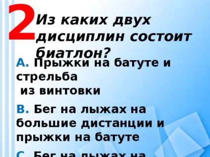 Зимні види спорту