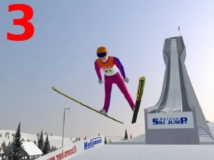 Зимні види спорту