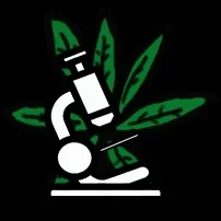 10 Помилок початківців гроверів - лайфхак растамана - СФК - grower (помилок) 10 Помилок початківців гроверів - лайфхак растамана - СФК - grower