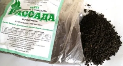 10 Помилок при вирощуванні розсади, за город і сад