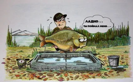 10 Рад початківцю карпятнику (рад) 10 Рад початківцю карпятнику