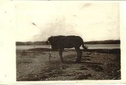 15 Цікавих фактів з історії фотографії - фактрум (15 фактів) 15 Цікавих фактів з історії фотографії - фактрум