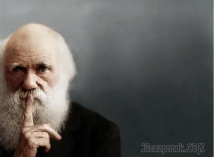 10 Цікавих фактів з життя видатних учених (цікавих) 10 Цікавих фактів з життя видатних учених