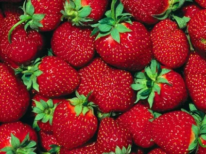 10 Самих корисних продуктів для здоров'я людини (найбільш) 10 Самих корисних продуктів для здоров'я людини