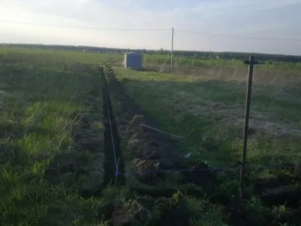 15 Діючих і не дуже способів вапна всіх кротів на садовій ділянці (кротів) 15 Діючих і не дуже способів вапна всіх кротів на садовій ділянці
