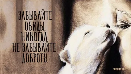 25 Кращих висловлювань Конфуція (висловлювань) 25 Кращих висловлювань Конфуція