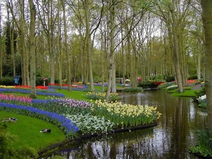 15 Самих незвичайних садів світу, listofbest