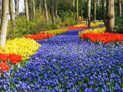 15 Самих незвичайних садів світу, listofbest