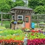78 Кращих ідей сараю на дачі своїми руками (дачі) 78 Кращих ідей сараю на дачі своїми руками
