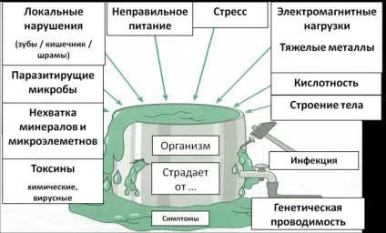 7-Ка рад як виглядати молодше за свої роки чому ми старіємо і що допомагає зберегти молодість (молодший) 7-Ка рад як виглядати молодше за свої роки чому ми старіємо і що допомагає зберегти молодість