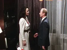 Аквітанська левиця