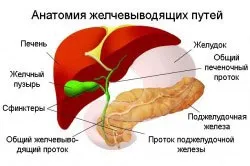 Алкоголь після видалення жовчного міхура чи можна вживати і в якій дозі (алкоголь) Алкоголь після видалення жовчного міхура чи можна вживати і в якій дозі