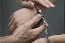 Аліменти на дитину механізм витребування (у разі позбавлення батьківських) Аліменти на дитину механізм витребування