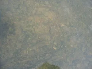 А де вода тепліше, біля багаття