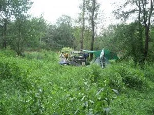 А де вода тепліше, біля багаття