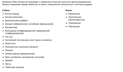 Аерофлот - не вбивав собаку (аерофлот) Аерофлот - не вбивав собаку