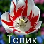 Анатолій, Толік картинки з написами, картинки з іменами (Толік) Анатолій, Толік картинки з написами, картинки з іменами