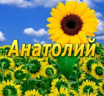 Анатолій, Толік картинки з написами, картинки з іменами (картинки) Анатолій, Толік картинки з написами, картинки з іменами