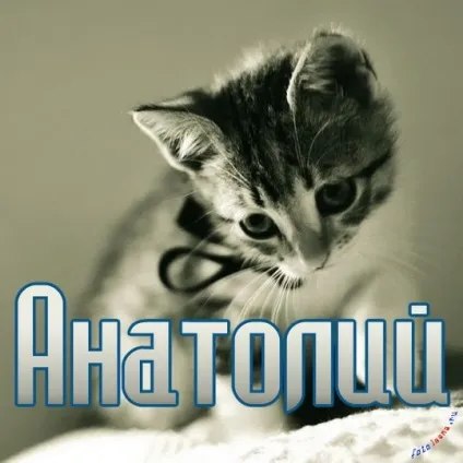 Анатолій, Толік картинки з написами, картинки з іменами (картинки) Анатолій, Толік картинки з написами, картинки з іменами