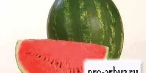 Астраханський кавун - опис сорту, вирощування, насіння, відгуки (вирощування) Астраханський кавун - опис сорту, вирощування, насіння, відгуки