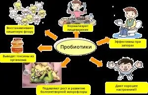 Бактерії ліки при інфекції в сечі, шлунку, кишечнику (шлунку) Бактерії ліки при інфекції в сечі, шлунку, кишечнику