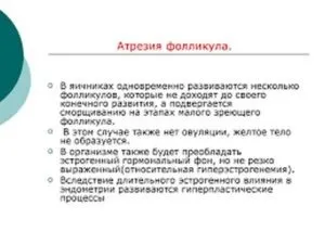 Атрезія фолікулів як одна з причин безпліддя (відео) (атрезія) Атрезія фолікулів як одна з причин безпліддя (відео)