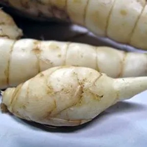 Аррорут користь і застосування, food and health (австралійський) Аррорут користь і застосування, food and health