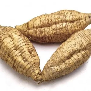 Аррорут користь і застосування, food and health (health) Аррорут користь і застосування, food and health