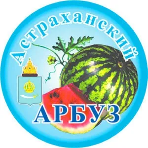 Астраханські кавуни - коли дозрівають, як виростити в домашніх умовах, відео